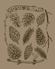 Pinecones · Cotton T-Shirt
