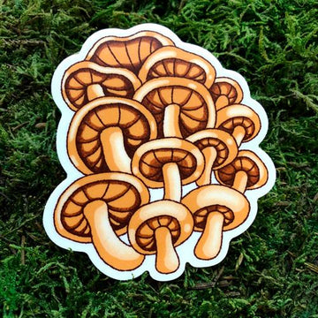 Oyster Mushroom · Vinyl Sticker